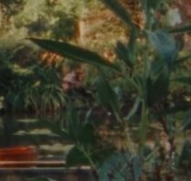 The Fight To Preserve Monet’s Beloved Giverny Gardens