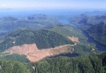 Will Steinway Lose Access To Wood For Its Soundboards?