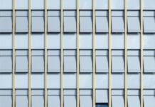 Why A Visual Image Gives Us Pleasure