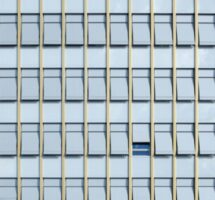 Why A Visual Image Gives Us Pleasure