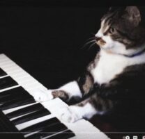 YouTube’s Sneaky AI Processing