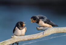 What Does It Really Mean The “Reasonable” People Can Disagree?