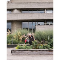 Britain’s National Theatre Is Growing Dye Plants For Its Costumes In A Roof Garden