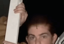 TikTok Is Filled With Women Dressed As Alexander Hamilton Sneaking Out Of Windows And Dog Doors