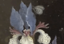 These Nazi-Looted Paintings Will, After An Intervention, Not Be Up For Auction