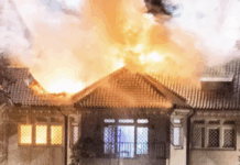 Ronald Perelman Sued For Money After His Paintings Survived A House Fire, Apparently Unscathed