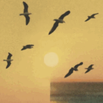 Why Marilynne Robinson Writes About Beauty, And Faith