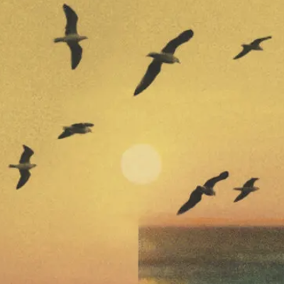 Why Marilynne Robinson Writes About Beauty, And Faith