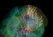 For The First Time, Scientists Have Recorded A Human Brain Making Decisions