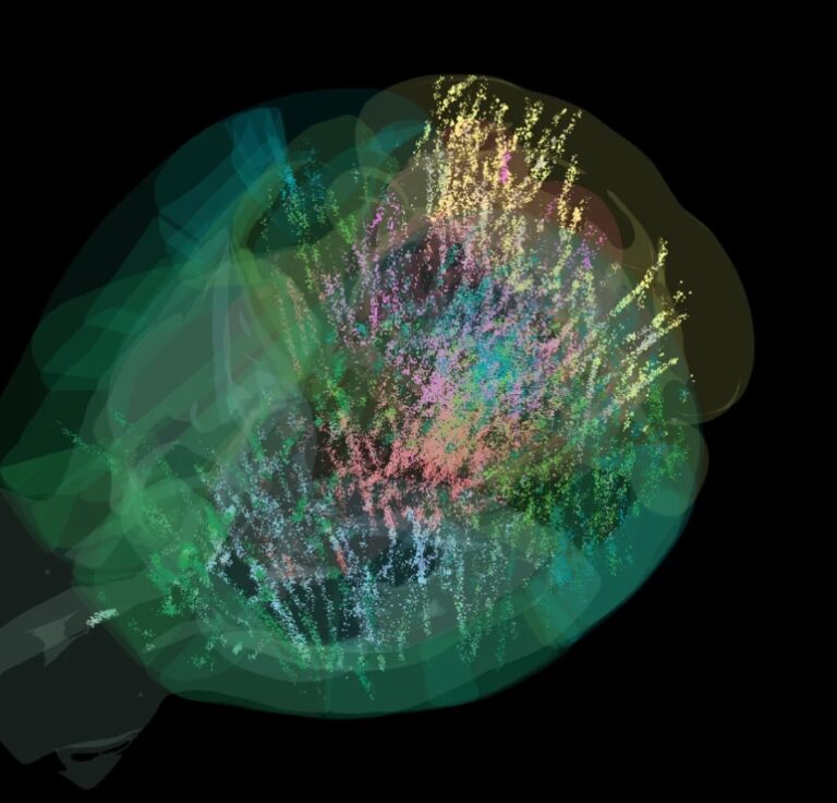 For The First Time, Scientists Have Recorded A Human Brain Making Decisions