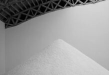 The Art-Of-Endurance Artists