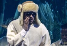 Are Visa And Border Issues Causing International Performers To Reconsider US Tours?