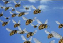 AI Bots Are Destroying The Web