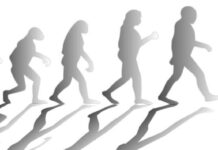 Big Shift: Human Evolution Through Culture Rather Than Genes