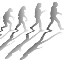 Big Shift: Human Evolution Through Culture Rather Than Genes
