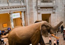 Smithsonian Secretary Says Institution Will Do Its Own Review