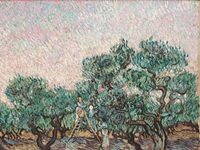 For Second Time, Heirs Sue Met Museum Over Van Gogh’s “Olive Picking”