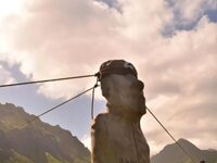 Easter Islanders Always Said Their Moai Statues Walked To Their Places. New Research Says It’s Probably True.