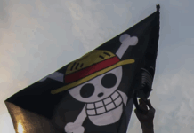 What Is Up With The Pirate Flag Iconography Of Gen-Z Protestors?