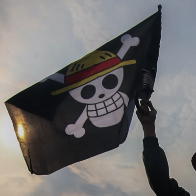 What Is Up With The Pirate Flag Iconography Of Gen-Z Protestors?