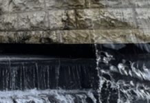 Smithsonian Museums, National Zoo Close Amid Federal Shutdown