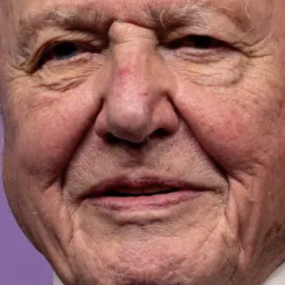 Sir David Attenborough Has Become The Oldest Daytime Emmy Winner, At 99