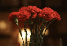 Can Broadway Truly Be Captured On Film?