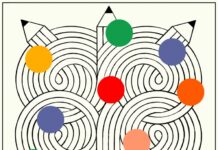 Zadie Smith Ponders The Point Of Essay-Writing