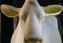 On The Eve Of America’s 250th Birthday, Museums Ponder How To Tell The Nation’s Stories