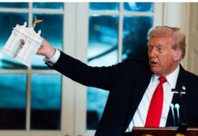 Trump Fires Entire Design Commission Tasked With Reviewing Capital Region Projects