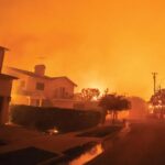 What The LA Fires Taught The Art World