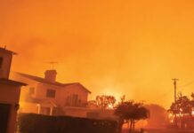 What The LA Fires Taught The Art World