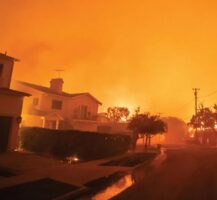 What The LA Fires Taught The Art World