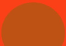 How Does Our Brain Perceive The World?