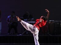 City Council Restores Funding To Dallas Black Dance Theatre
