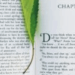 A Passionate Plea To Stop Devaluing Art, And The Future