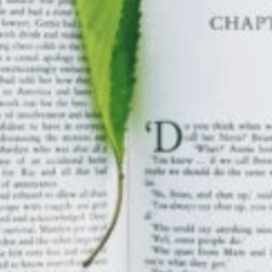 A Passionate Plea To Stop Devaluing Art, And The Future