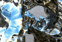 The Palm Springs Art Museum Trustee Revolt: Just What The Heck Is Happening Here?