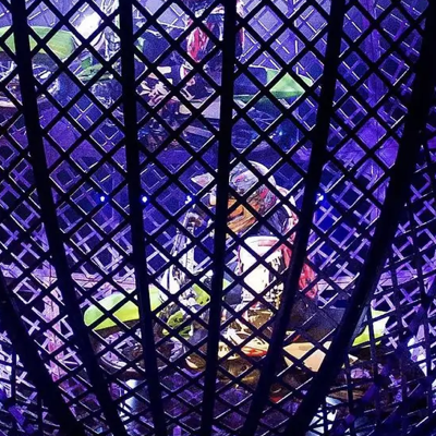 One Performer Killed, Another Gravely Injured At Live Circus Stunt In Italy