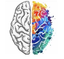 How Our Brains Are Wired For Motivation