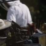 The Antique Movie Camera Reviving A Technology