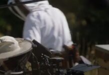 The Antique Movie Camera Reviving A Technology