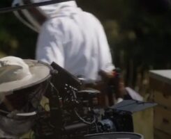 The Antique Movie Camera Reviving A Technology