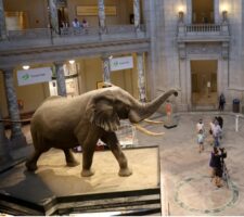 Federal Museums Reopen And Count Up The Losses