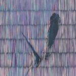 The Corporatization Of Our Music