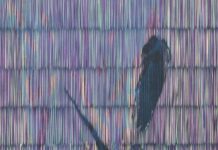 The Corporatization Of Our Music