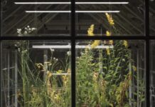 For A Long Time Artists Have Been On The Leading Edge Of Culture. Maybe Its Time To Give Up That Role?