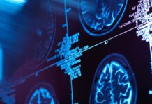 Study: Our Brains Have Five Major Eras In Our Lifetimes