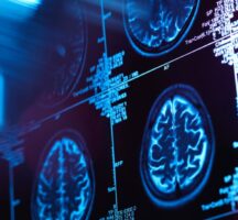 Study: Our Brains Have Five Major Eras In Our Lifetimes