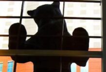 Survey: State Of The Arts In Denver